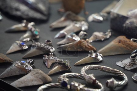 shark teeth pendant in jewelry store shop