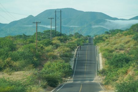 Photo for Baja california sur endless road from la paz to san jose del cabo - Royalty Free Image