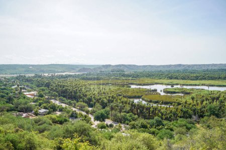 Foto de Sierra de la laguna baja california sur mexico san dionisio oasis - Imagen libre de derechos