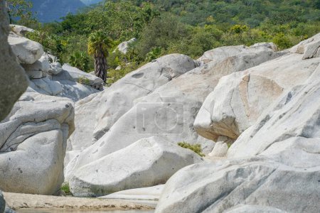 Foto de Río arroyo piedras blancas en san dionisio en sierra de la laguna baja california sur mexico panorama - Imagen libre de derechos