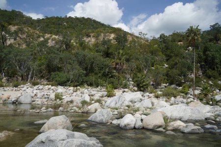 Foto de Río arroyo piedras blancas en san dionisio en sierra de la laguna baja california sur mexico panorama - Imagen libre de derechos