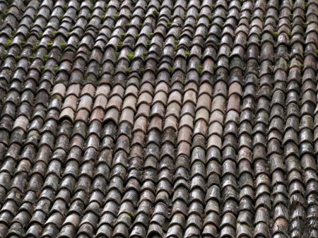 Téléchargez les photos : Old frassinedolo medieval village roof in valley around Bismantova stone near castelnovo ne monti(Italy) - en image libre de droit