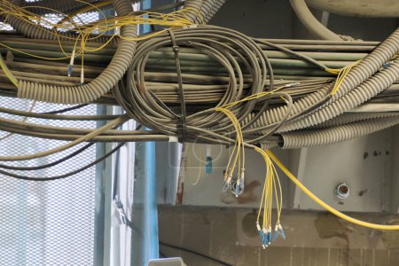 Foto de Gran grupo de cables de Internet utp lila en el centro de datos - Imagen libre de derechos