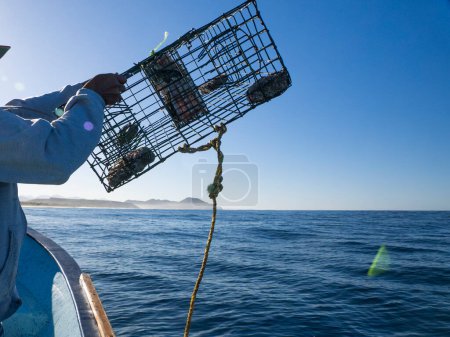 fishing with lobster pot in mexico from boat