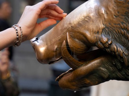 Un détail de main touchant bonne chance statue de porc de cuivre à Florence rite de la fortune, vous devez frotter une pièce sur le nez du sanglier, puis le déposer dans la couverture de trou d'homme de la fontaine porcellino