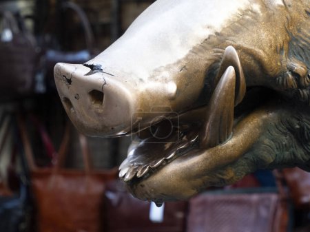 Ein Detail der Hand berührt Glück Kupferschwein Statue in Florenz Ritus des Glücks müssen Sie eine Münze auf der Nase von Wildschweinen reiben und dann lassen Sie es in den Gullydeckel des Porzellanbrunnens