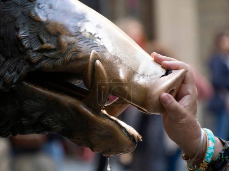 Un détail de main touchant bonne chance statue de porc de cuivre à Florence rite de la fortune, vous devez frotter une pièce sur le nez du sanglier, puis le déposer dans la couverture de trou d'homme de la fontaine porcellino