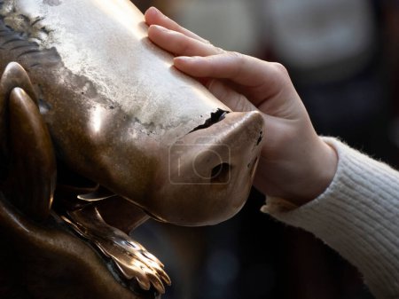 Ein Detail der Hand berührt Glück Kupferschwein Statue in Florenz Ritus des Glücks müssen Sie eine Münze auf der Nase von Wildschweinen reiben und dann lassen Sie es in den Gullydeckel des Porzellanbrunnens