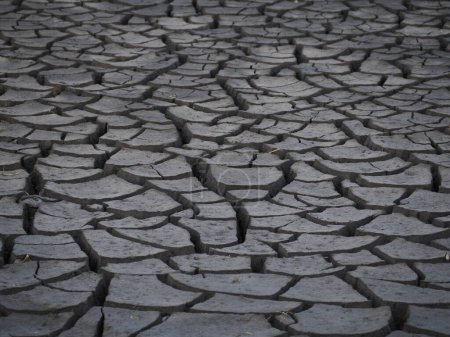 Foto de Detalle de suelo seco de las salinas de Aveiro Portugal - Imagen libre de derechos