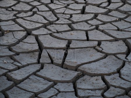 Foto de Detalle de suelo seco de las salinas de Aveiro Portugal - Imagen libre de derechos