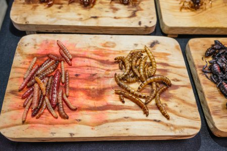 Foto de Chinicuiles e insectos fritos, comida tradicional prehispánica mexicana, servidos en una tabla de madera. - Imagen libre de derechos