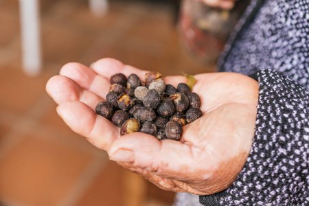 Photo for Coffee beans ready to be cleaned and roasted on a farmer's hand. - Royalty Free Image