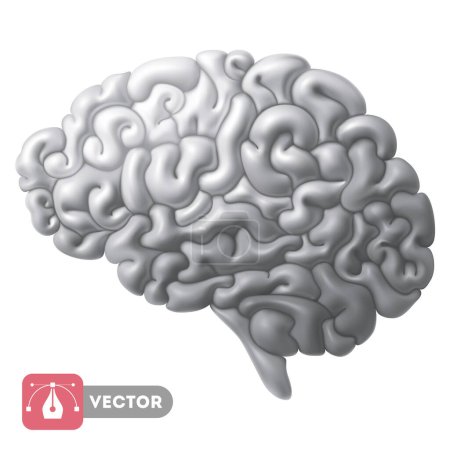 Illustration for Brain, gray color, 3d convex cartoon icon. Vector realistic illustration - Royalty Free Image