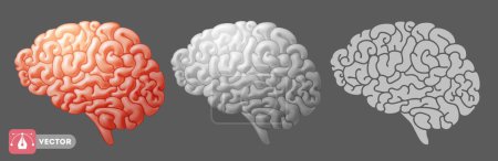 Ilustración de Set of brain drawings in the various styles for design, gray and pink colors, 3d and flat cartoon icon. Vector illustration - Imagen libre de derechos