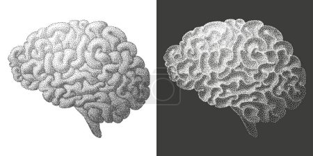 Illustration for Brain drawing with dots texture. Vector illustration - Royalty Free Image