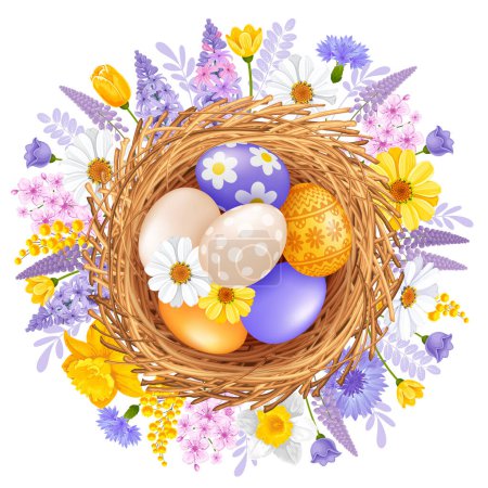 Illustration for Easter design with cute colored eggs with patterns in the nest and spring flowers, isolated on white background. Vector illustration - Royalty Free Image