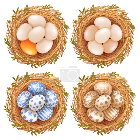 Photo for Set of plain or colored and decorated with various patterns Easter eggs in the nest. Top view, design elements for flat lay compositions. Isolated on white background. Vector illustration - Royalty Free Image