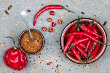 Photo for Fresh and dried chili peppers - hot and spicy food seasoning and flavoring - Royalty Free Image