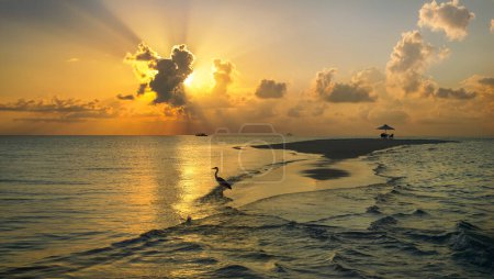Téléchargez les photos : Sandbar au coucher du soleil dans l'atoll d'Ari Sud aux Maldives - en image libre de droit