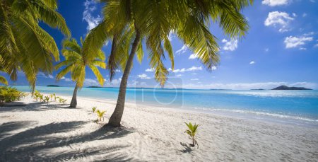 Téléchargez les photos : Plage tropicale dans la lagune d'Aitutaki dans les îles Cook dans l'océan Pacifique Sud. - en image libre de droit
