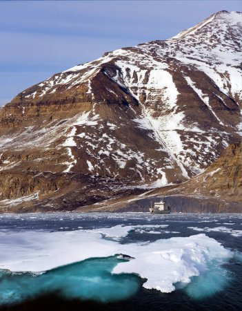 Foto de Rompehielos turístico y una foca encapuchada descansando sobre hielo marino frente a la costa del noreste de Groenlandia. - Imagen libre de derechos