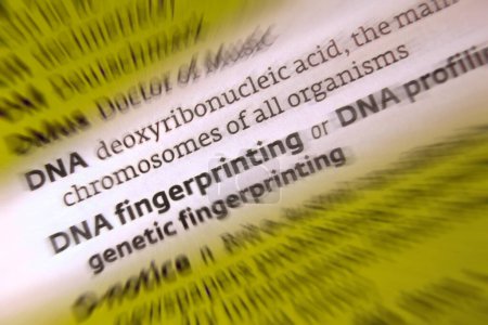 Foto de DNA - DNA Fingerprinting - DNA profiling - Imagen libre de derechos