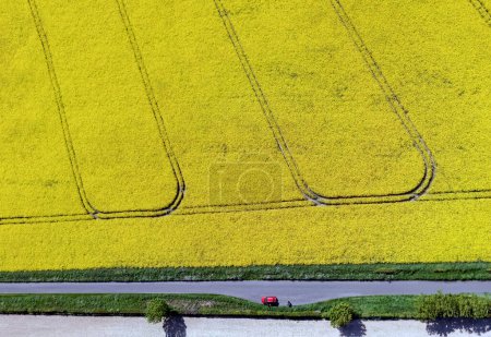 Téléchargez les photos : Vue aérienne d'une route et d'une terre agricole dans la campagne du Yorkshire du Nord au Royaume-Uni. - en image libre de droit