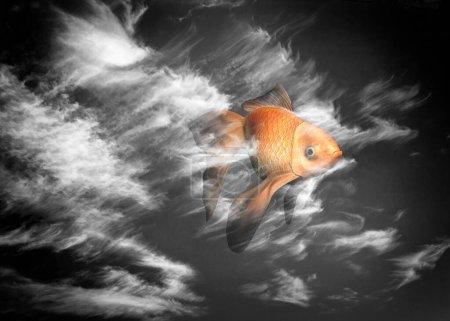 Téléchargez les photos : Golden fish in the sky. Surreal art - en image libre de droit
