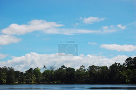 Foto de Hermosa vista del lago en el bosque - Imagen libre de derechos