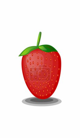 Illustration for Vector illustration of strawberry and strawberries - Royalty Free Image