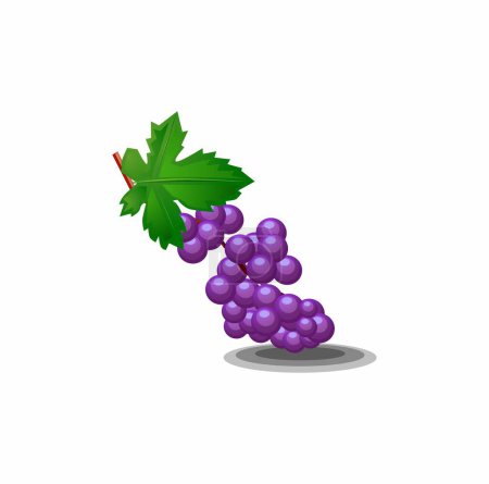 Téléchargez les illustrations : Grapes with a green leaves. vector illustration - en licence libre de droit