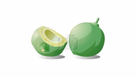 Illustration for Coconut icon, vector illustration - Royalty Free Image