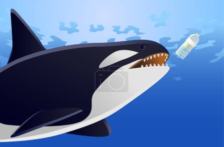 Ilustración de Orca y botella de plástico en el icono del océano, ilustración vectorial - Imagen libre de derechos