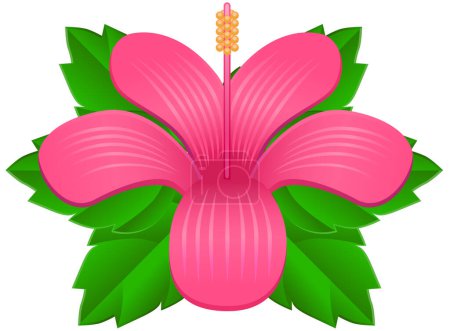 Ilustración de Flor rosa sobre fondo blanco - Imagen libre de derechos