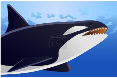 Ilustración de Orca icono, ilustración vectorial - Imagen libre de derechos