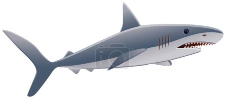 Téléchargez les illustrations : 3d rendu de requin dessin animé isolé sur fond blanc - en licence libre de droit