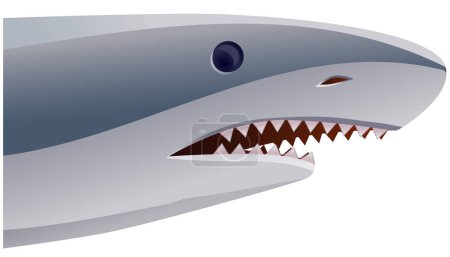 Ilustración de Ilustración de un tiburón con una sonrisa - Imagen libre de derechos