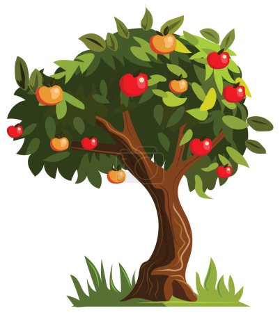 Apple tree with ripe fruits vector icon