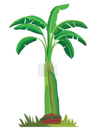 Illustration for Banana tree vector icon - Royalty Free Image