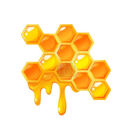 Photo for Vector honeycomb isolated on white background - Royalty Free Image