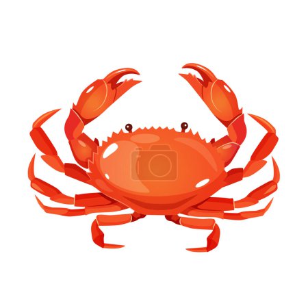 Téléchargez les illustrations : Crabe rouge vecteur isolé sur fond blanc - en licence libre de droit
