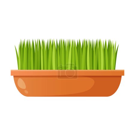 Illustration for Fresh organic sprouted seeds in pot. - Royalty Free Image