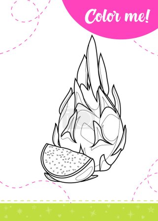 Coloring page for kids with whole and cut a slice of dragon fruits (pitaya).A printable worksheet, vector illustration.
