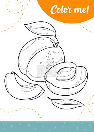 Coloring page for kids with apricot fruit.A printable worksheet, vector illustration.