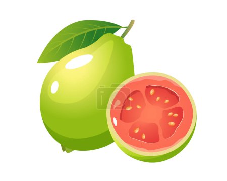 Illustration for Tropical whole and half guava fruit  isolated on a white background. - Royalty Free Image