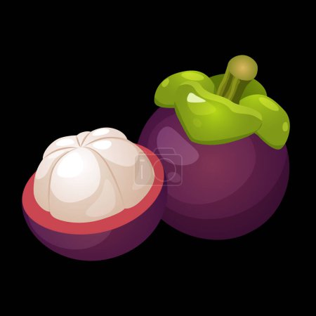 Tropical whole and half mangosteen fruit isolated on a white background.