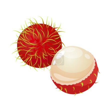 Tropical whole and half rambutan fruit isolated on a white background.