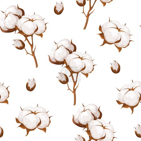 Patrón floral sin costura vectorial con ramas de flores de algodón esponjosas florecidas. 