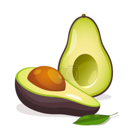 Cartoon natural fresh cutted avocado with a large seed and leaf isolated on white background.