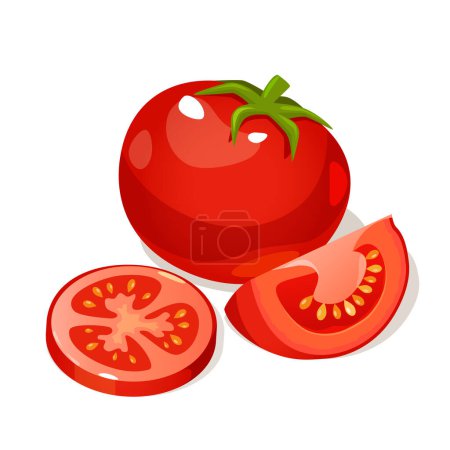 Fresh cartoon farming tomatoes whole, half and sliced isolated on white background.